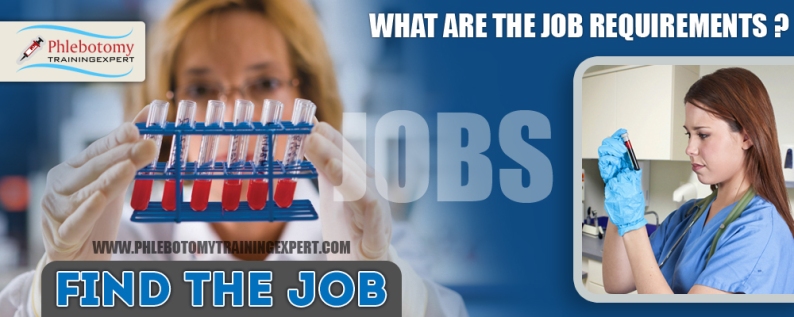 What Are the Job Requirements?